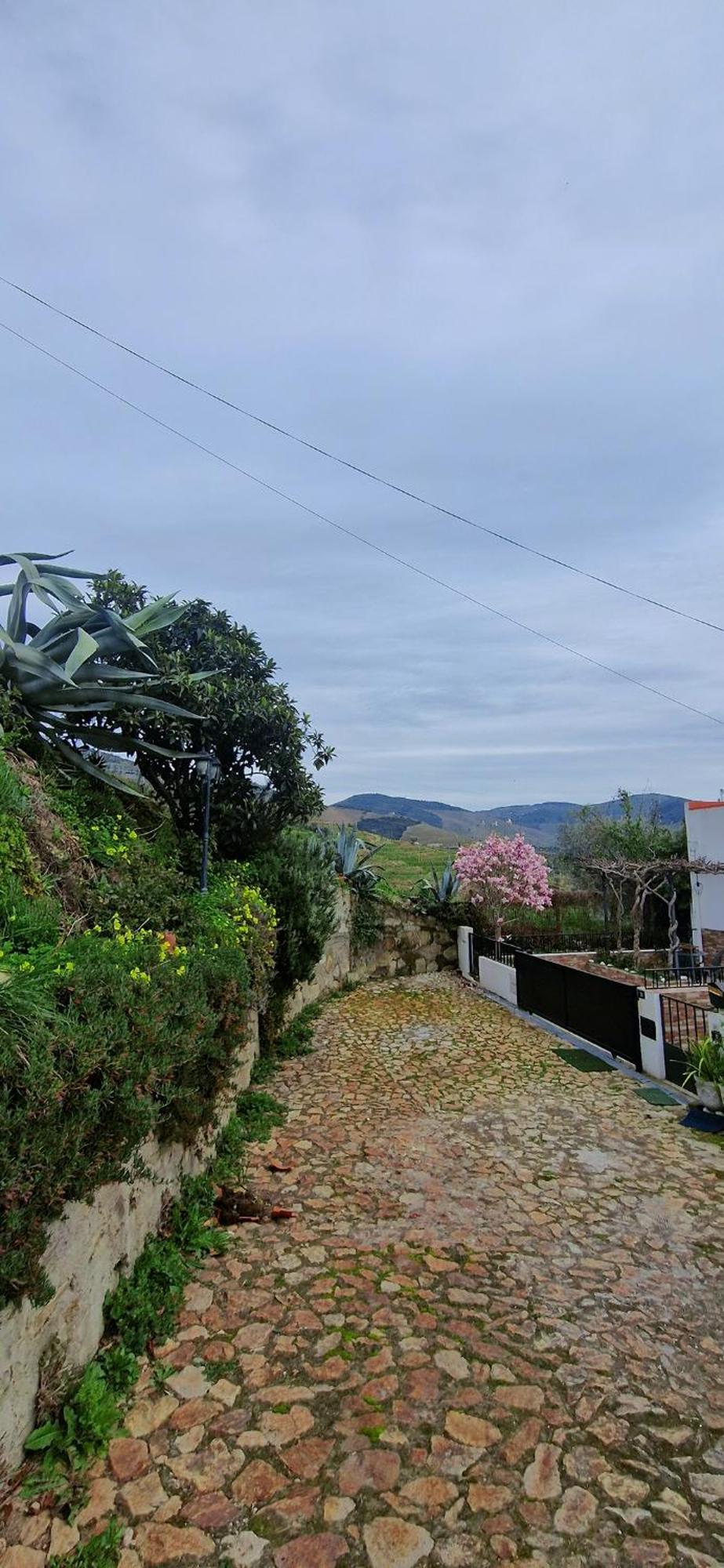 Casa Rodrigues Villa Pinhao Exterior photo